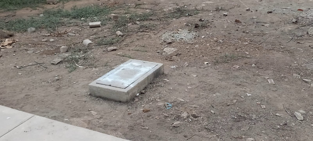 Manzana F8 Jirón Los Ceibos, Carabayllo, Lima 15121, ,Lote,En Venta,Jirón Los Ceibos,1,1033