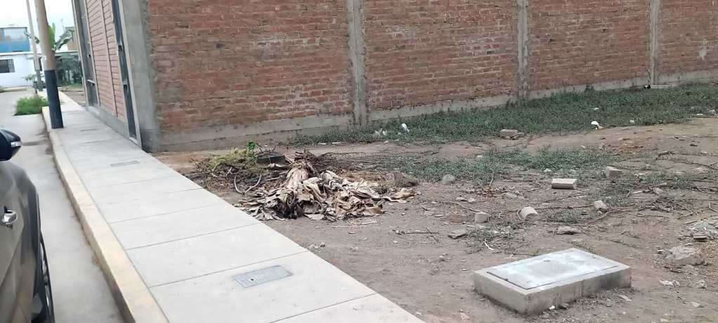 Manzana F8 Jirón Los Ceibos, Carabayllo, Lima 15121, ,Lote,En Venta,Jirón Los Ceibos,1,1033