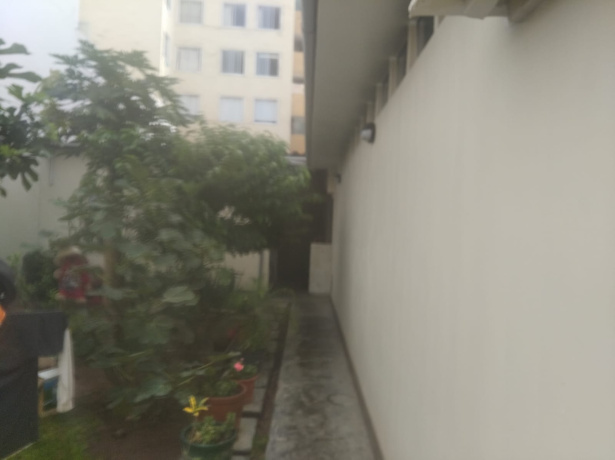 331 Juan Fanning, Miraflores, Lima 15074, 8 Habitaciones Habitaciones, ,Casa,En Venta,Juan Fanning,2,1034