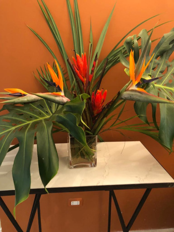 337 - 339 Juan Fanning, Miraflores, Lima 15074, ,Local,En Venta,El Ducado,Juan Fanning,5,1035