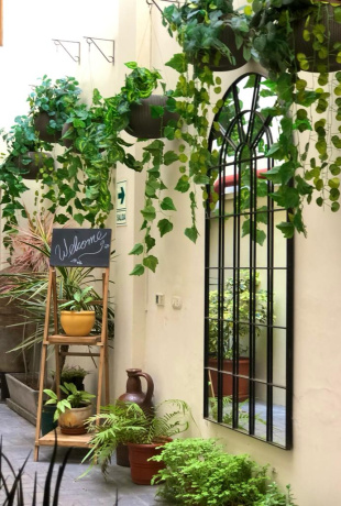 337 - 339 Juan Fanning, Miraflores, Lima 15074, ,Local,En Venta,El Ducado,Juan Fanning,5,1035