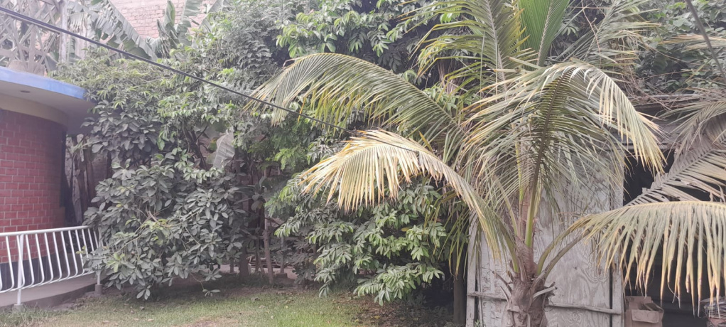 Lote 11-A Au. Chillón - Trapiche 621, Comas, Lima 15316, 4 Habitaciones Habitaciones, 0 ,4 BathroomsBathrooms,Finca,En Venta,Au. Chillón - Trapiche 621,1,1042 Lote 11-A Au. Chillón - Trapiche 621, Comas, Lima 15316, 4 Habitaciones Habitaciones, 0 ,4 BathroomsBathrooms,Finca,En Venta,Au. Chillón - Trapiche 621,1,1042