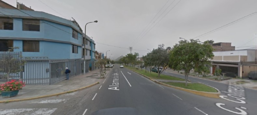 Mz. N Lote 07 Colmenares, La Molina, Lima 15024, 6 Habitaciones Habitaciones, ,4 BathroomsBathrooms,Departamento,En Venta,Colmenares,1,1046