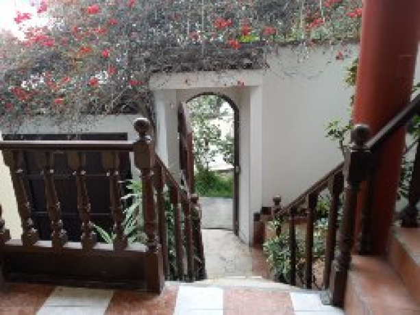 Mz. N Lote 07 Colmenares, La Molina, Lima 15024, 6 Habitaciones Habitaciones, ,4 BathroomsBathrooms,Departamento,En Venta,Colmenares,1,1046