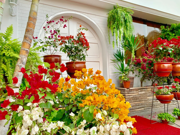 457 - 459 Las Flores, San Isidro, Lima 15073, 17 Habitaciones Habitaciones, ,Casa,En Venta,Casa Bella,Las Flores,1052 457 - 459 Las Flores, San Isidro, Lima 15073, 17 Habitaciones Habitaciones, ,Casa,En Venta,Casa Bella,Las Flores,1052